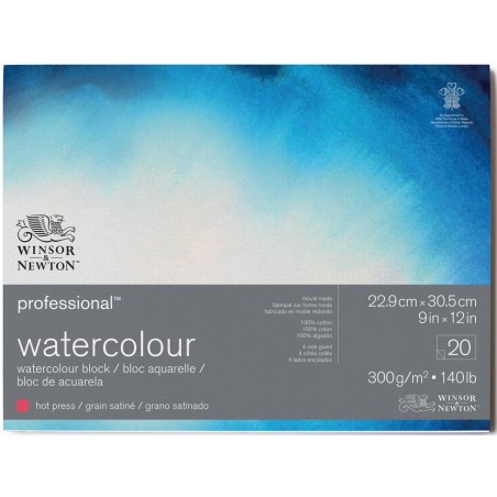 Blocco di Carta per Acquerello Professional Grana Satinata - 300gr. - 20 Fogli - Winsor&Newton
