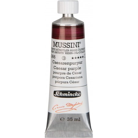 Colori ad Olio Mussini