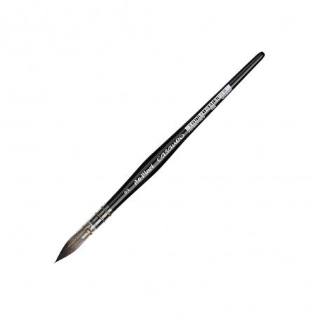 Pennello Bombasino Casaneo Serie 498 - Da Vinci