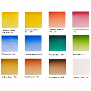 Acquerello Cotman Field Plus - 12 Mezzi Godet - Winsor&Newton