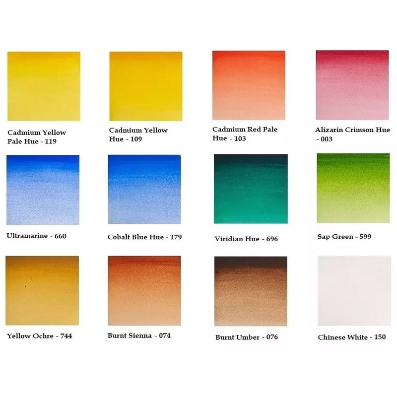 Acquerello Cotman Field Plus - 12 Mezzi Godet - Winsor&Newton