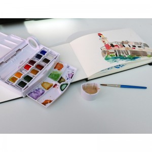 Acquerello Cotman Field Plus - 12 Mezzi Godet - Winsor&Newton