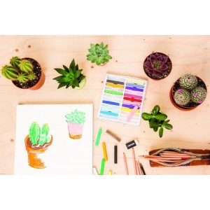 Pastelli Gessetti Teneri - 24pz. - Reeves