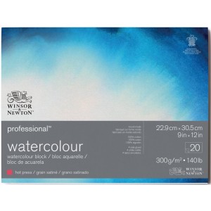 Blocco di Carta per Acquerello Professional Grana Satinata - 300gr. - 20 Fogli - Winsor&Newton